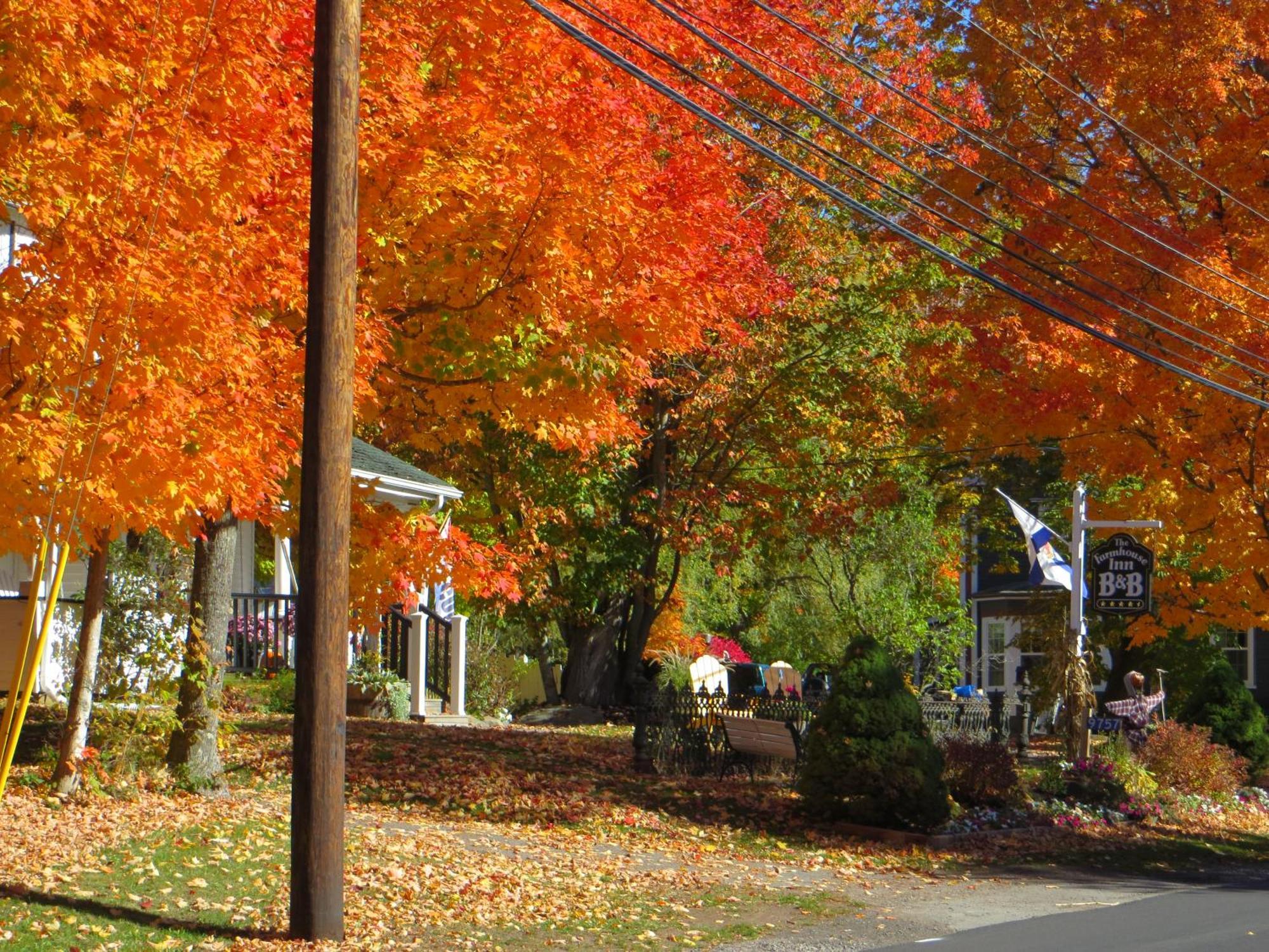 Farmhouse Inn B&B Canning Exterior foto